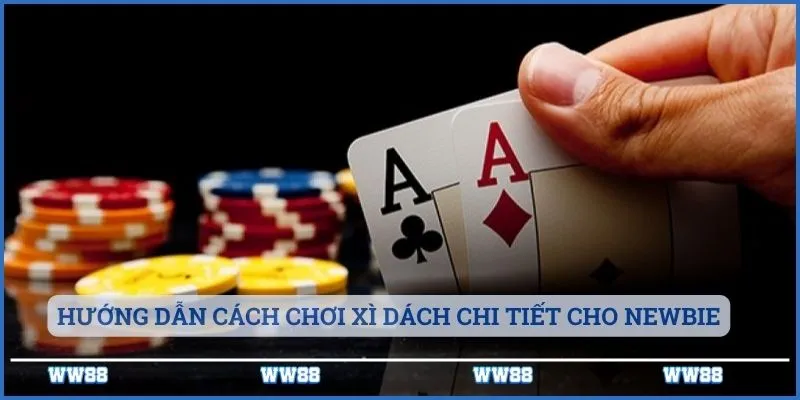 Hướng dẫn cách chơi xì dách chi tiết cho newbie